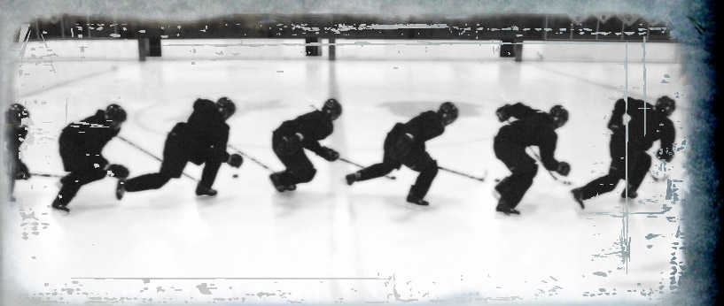 Ninja Hockey