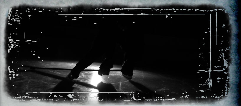 Ninja Hockey