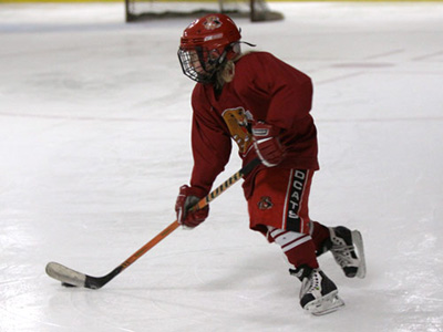 Ninja Hockey