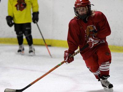 Ninja Hockey