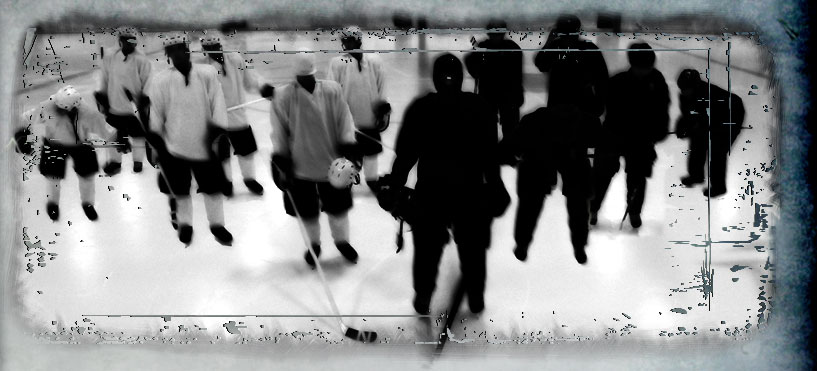 Ninja Hockey