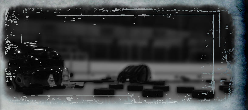 Ninja Hockey